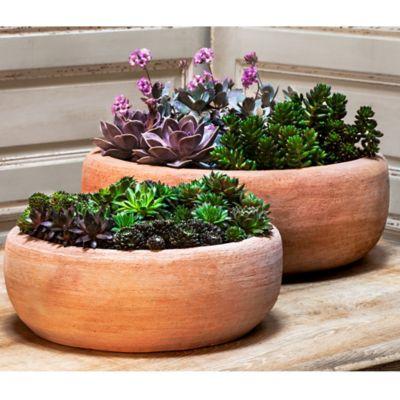 Campania Annalise Planter in Terra Cotta (Set of 2)