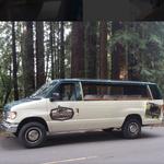 Redwood Sightseeing Tours