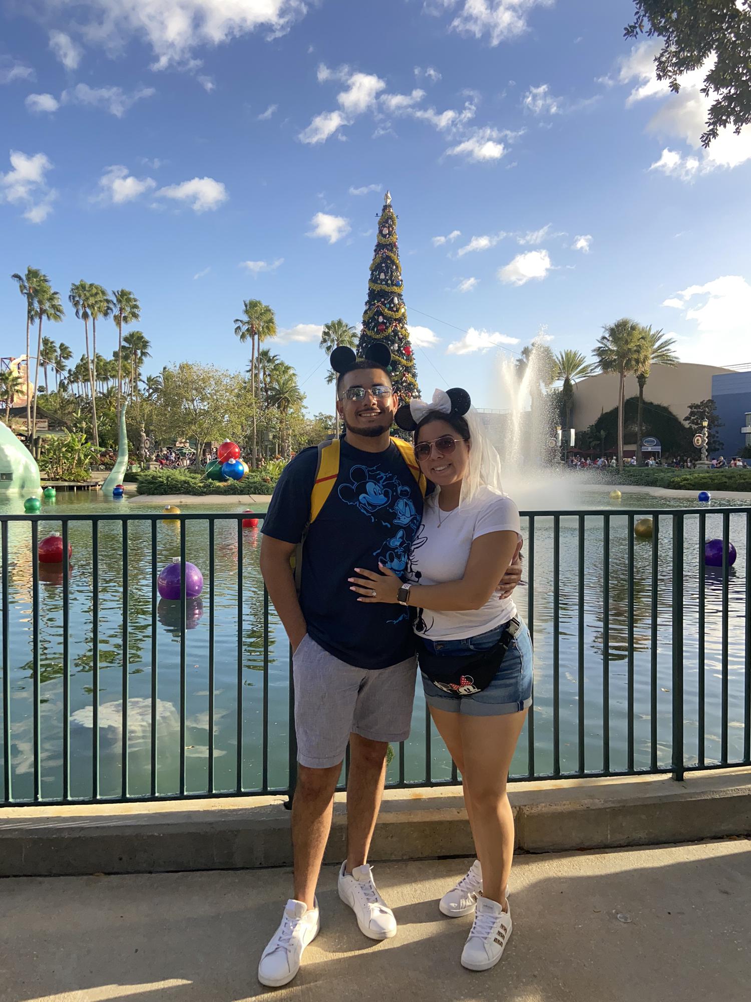 Disney’s Hollywood studios xmas tree