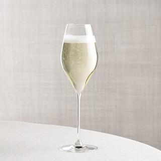 Calla Champagne Glass, Set of 4