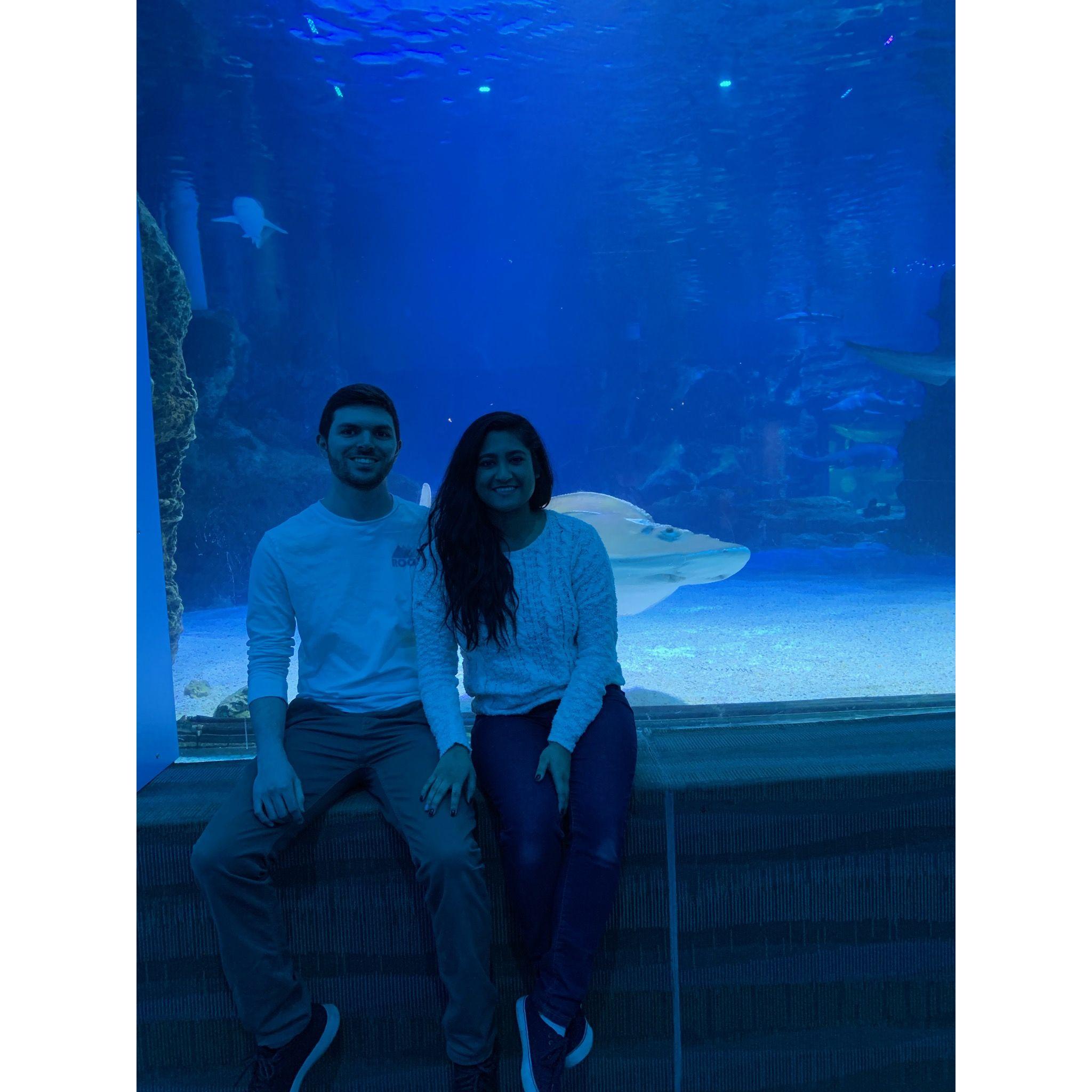 Kentucky Aquarium, April 2019