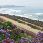 Del Mar Beach & Marina