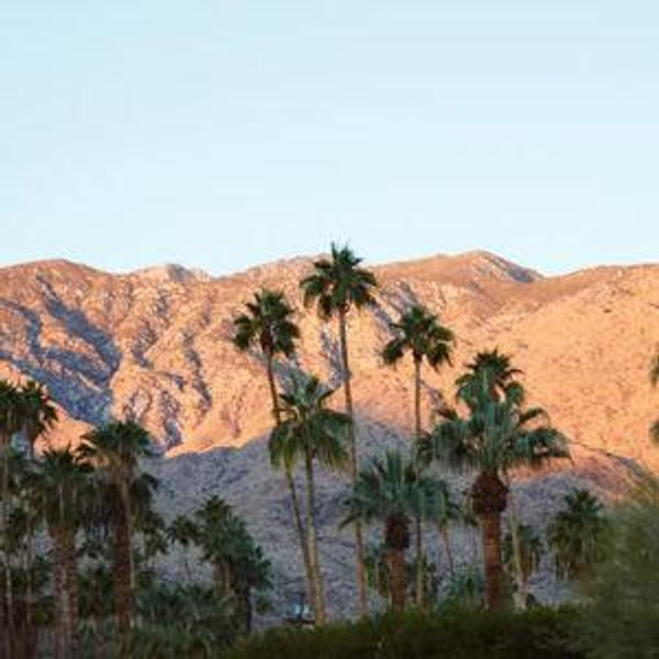 Our Honeymoon