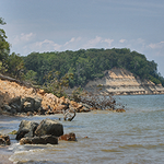 Calvert Cliffs State Park