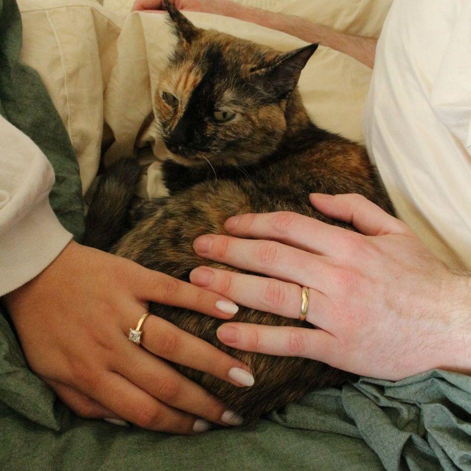 Hero Slideshow Image 3