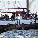 Jolly Breeze Whale Adventures