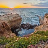 Sunset Cliffs Natural Park