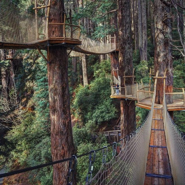 Trees of Mystery Park Entry