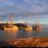 Shem Creek Park