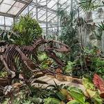 UNC Charlotte Botanical Gardens