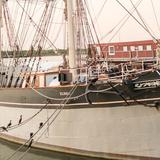 Galveston Historic Seaport - Home of the 1877 Tall Ship ELISSA