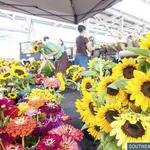 The Chattanooga Market