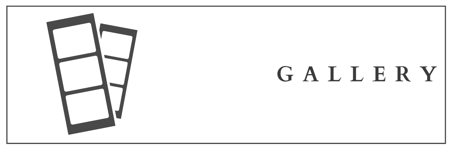 The Wedding Website of GIANNA MANGINO and DOMINICK MACOLINO