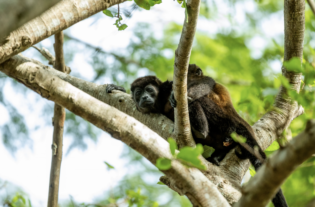 The Wedding Website of Erin Higgins and Marco Barboza