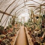 Moorten Botanical Garden