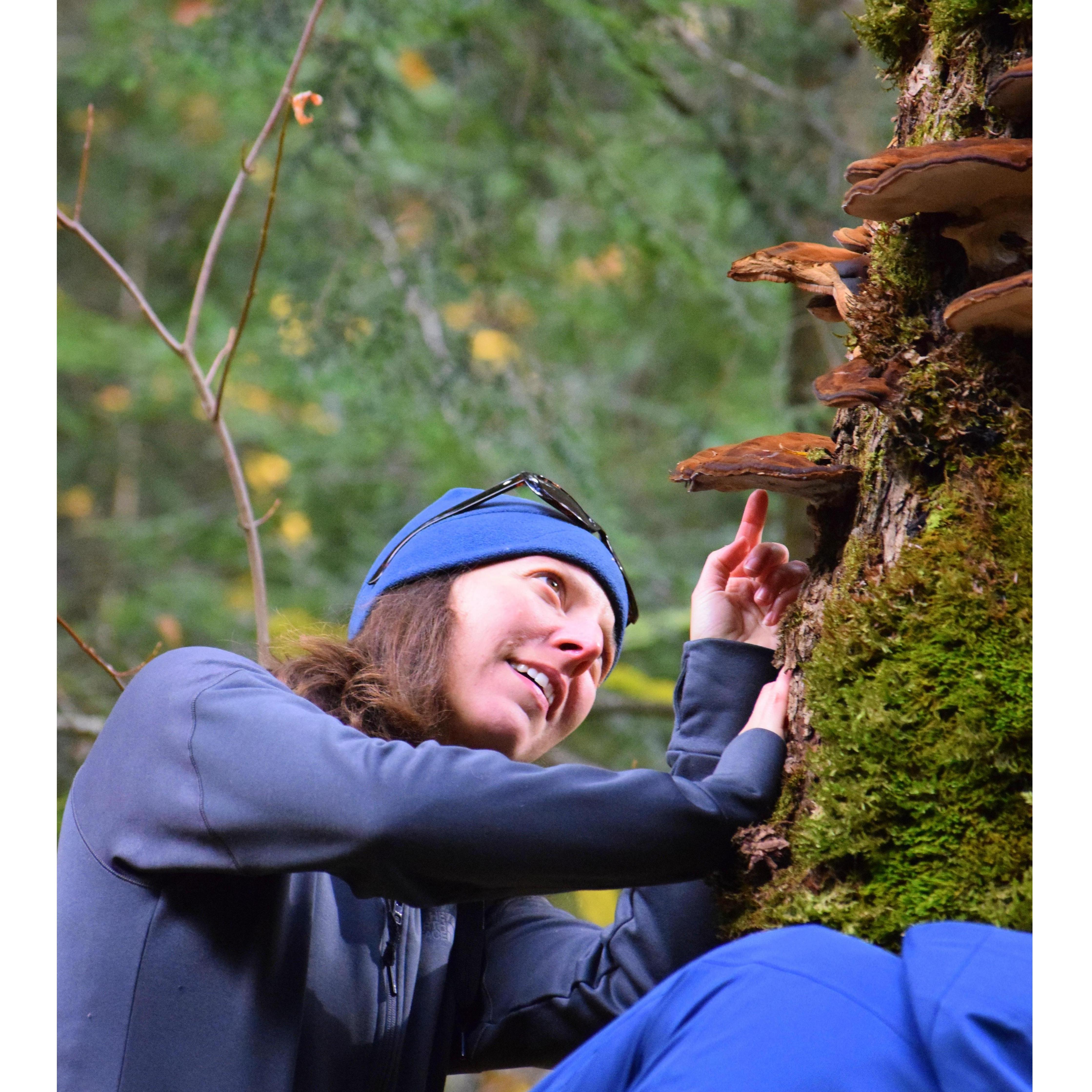 Andrea getting up close and personal with some old growth hemlock and some shelf fungi.