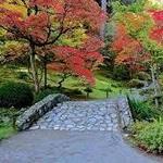 Seattle Japanese Garden