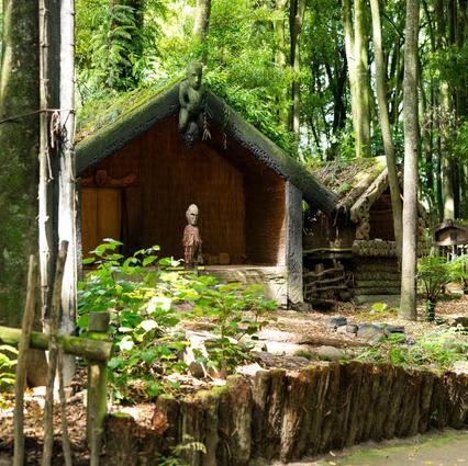 Te Pa Tu Māori village tour