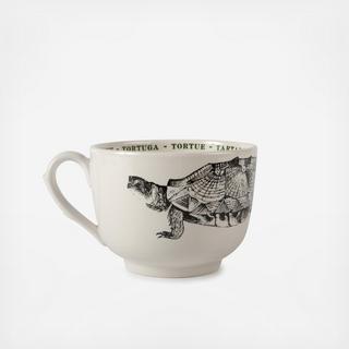 Tortoise Fauna Grand Cup
