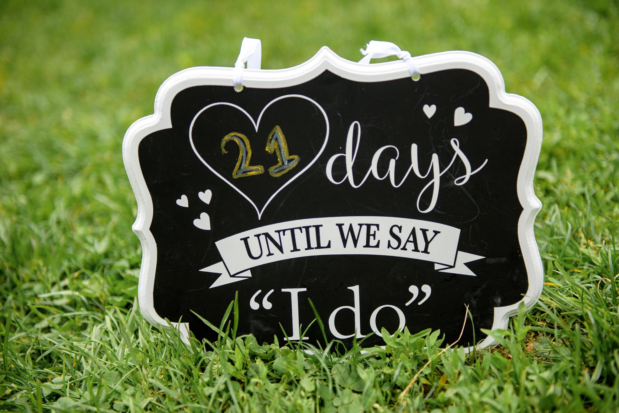 The Wedding Website of Manu Adavi and Dylan Schouten