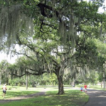 Audubon Park