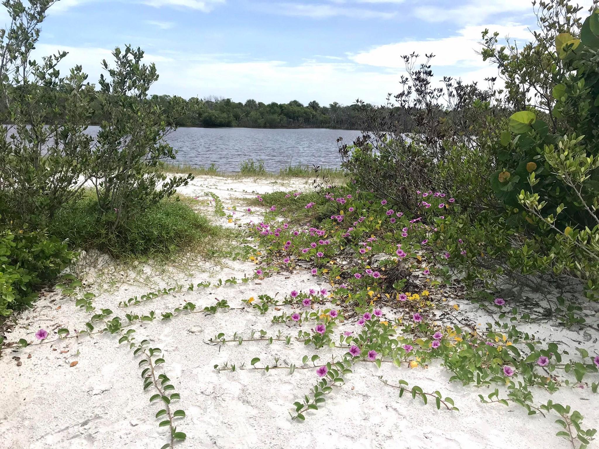 The Wedding Website of Mary Cefalu and Vincenzo Vasile