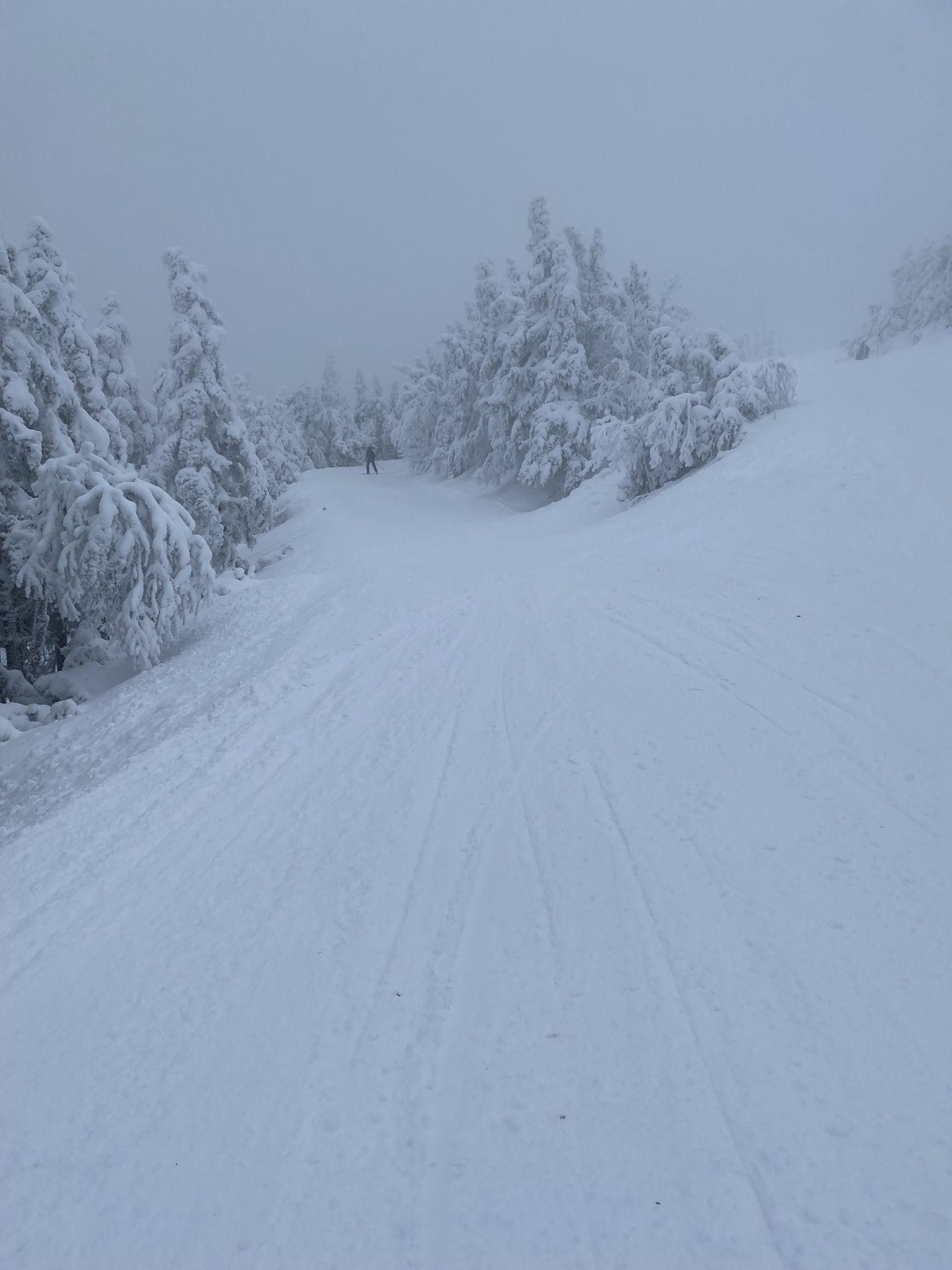 The Wedding Website of Laura Caty and Jeff Antonelli