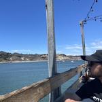 Mersea's Seafood Restaurant