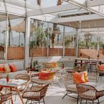 Boozehounds Palm Springs