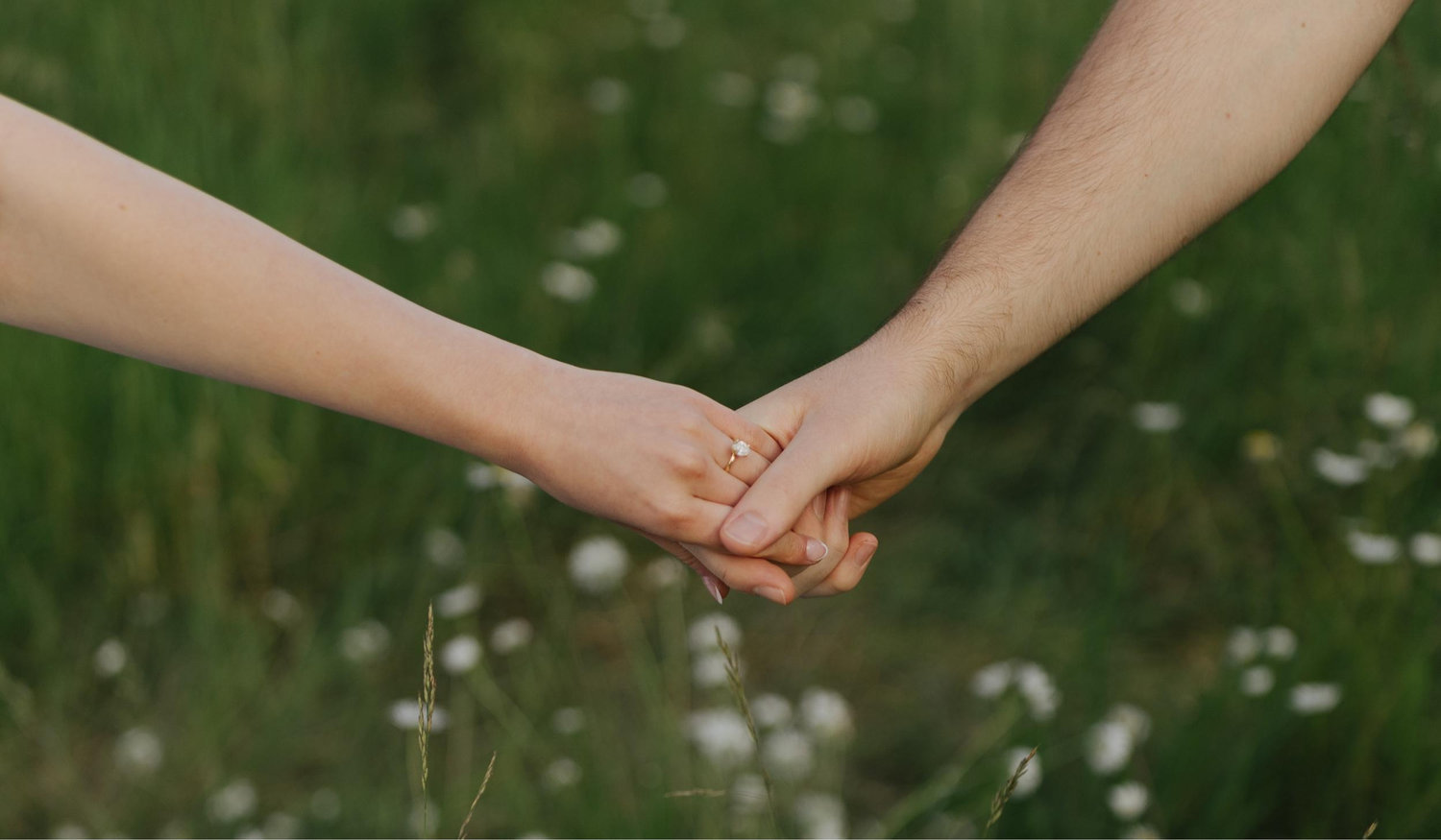 The Wedding Website of Sydney Nelson and David Kondor