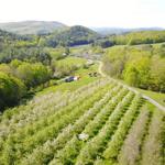 Scott Farm Orchard