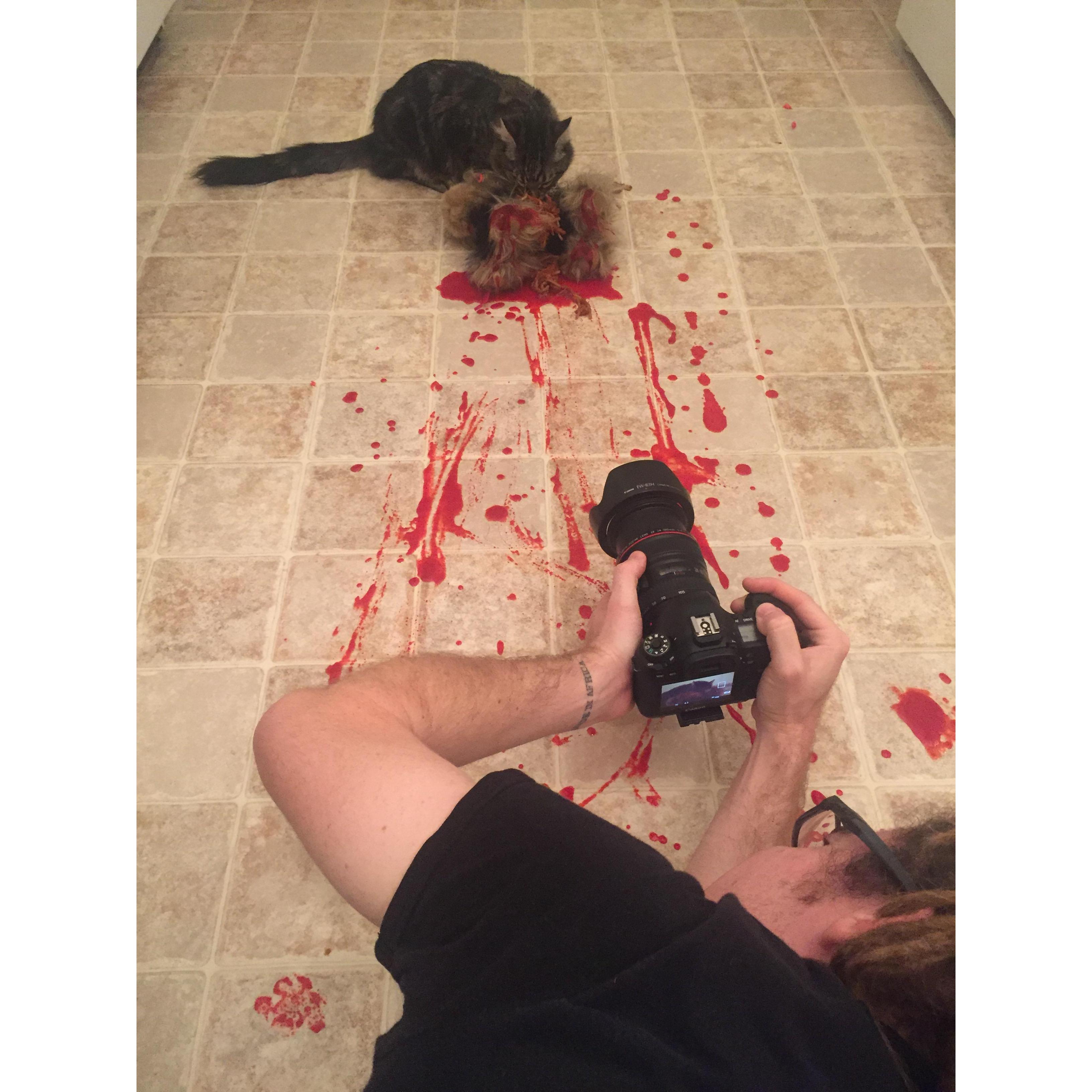 filming our cat horror movie " The Meowing Dead" check it out on youtube! ( marketing)