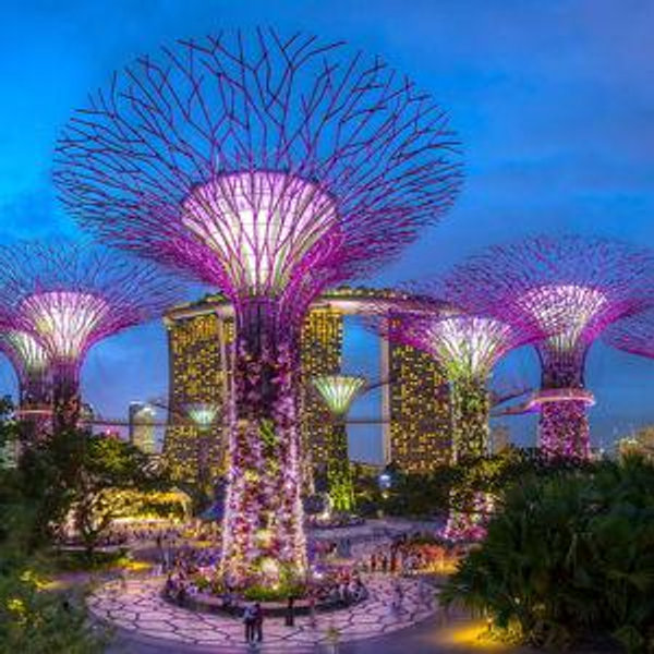 Honeymoon In Asia
