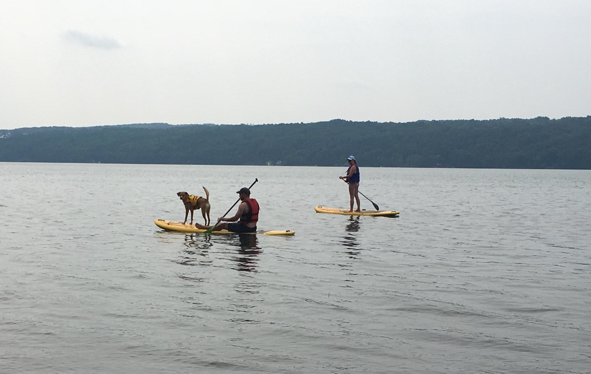 Finger Lakes NY (2018)