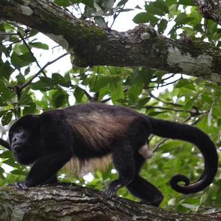 Active Volcano Adventure for 2 - Guanacaste