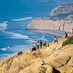 Torrey Pines State Reserve