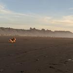 Clam Beach