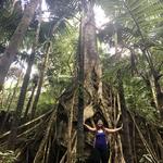 El Yunque National Forest