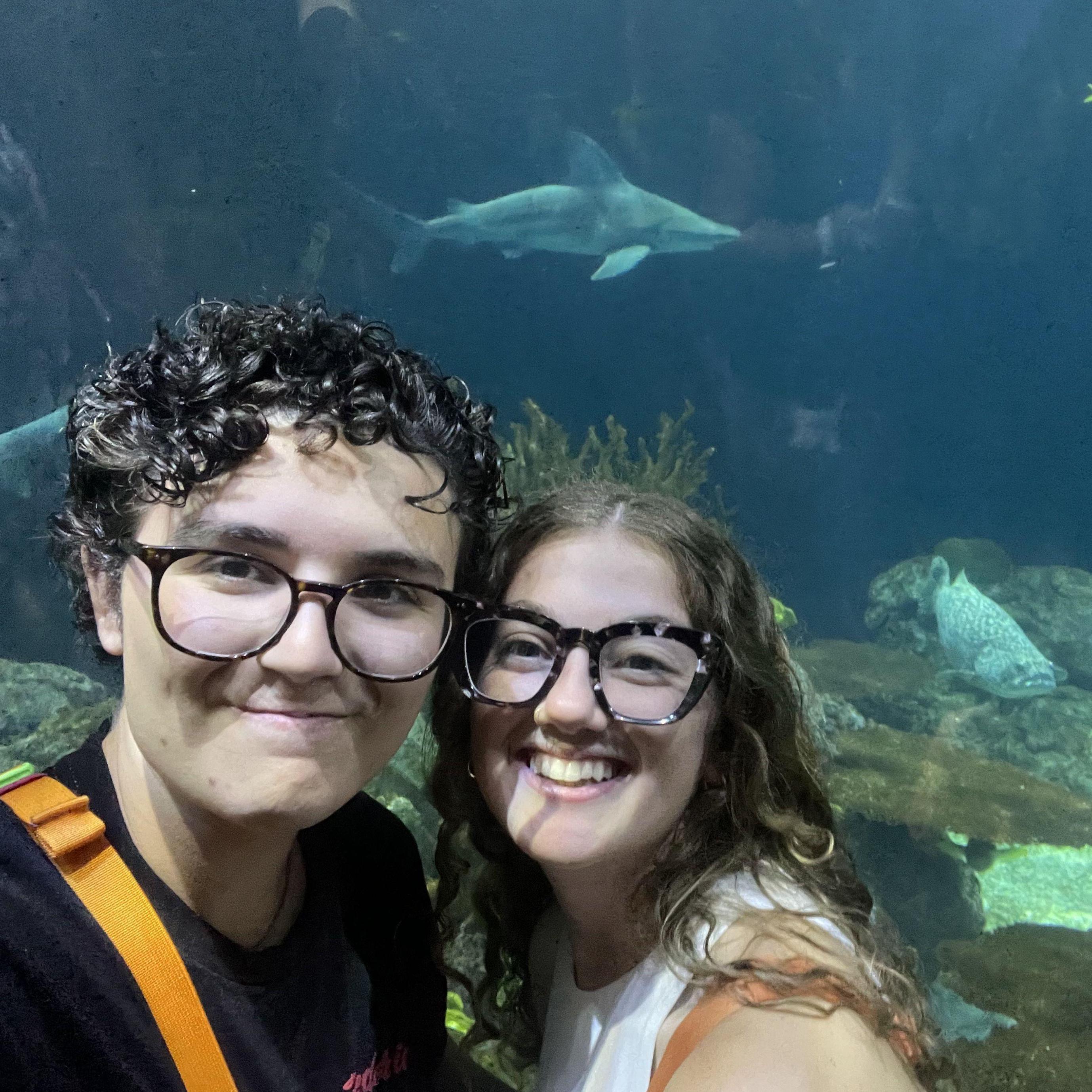 baby there's a shark in the water