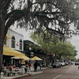 Park Avenue- Winter Park