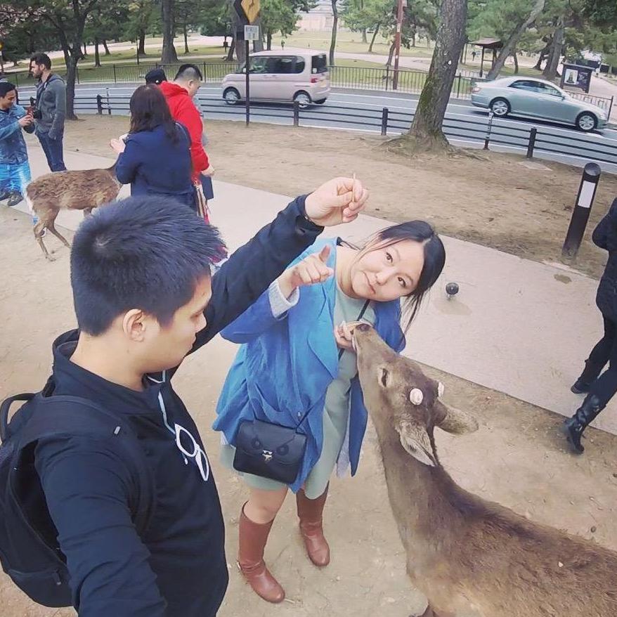 Japan 2017! Feeding deer in Nara Park