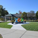 Miller Park Zoo