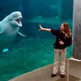 Mystic Aquarium