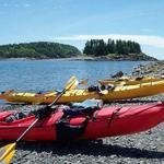 Coastal Kayaking Tours