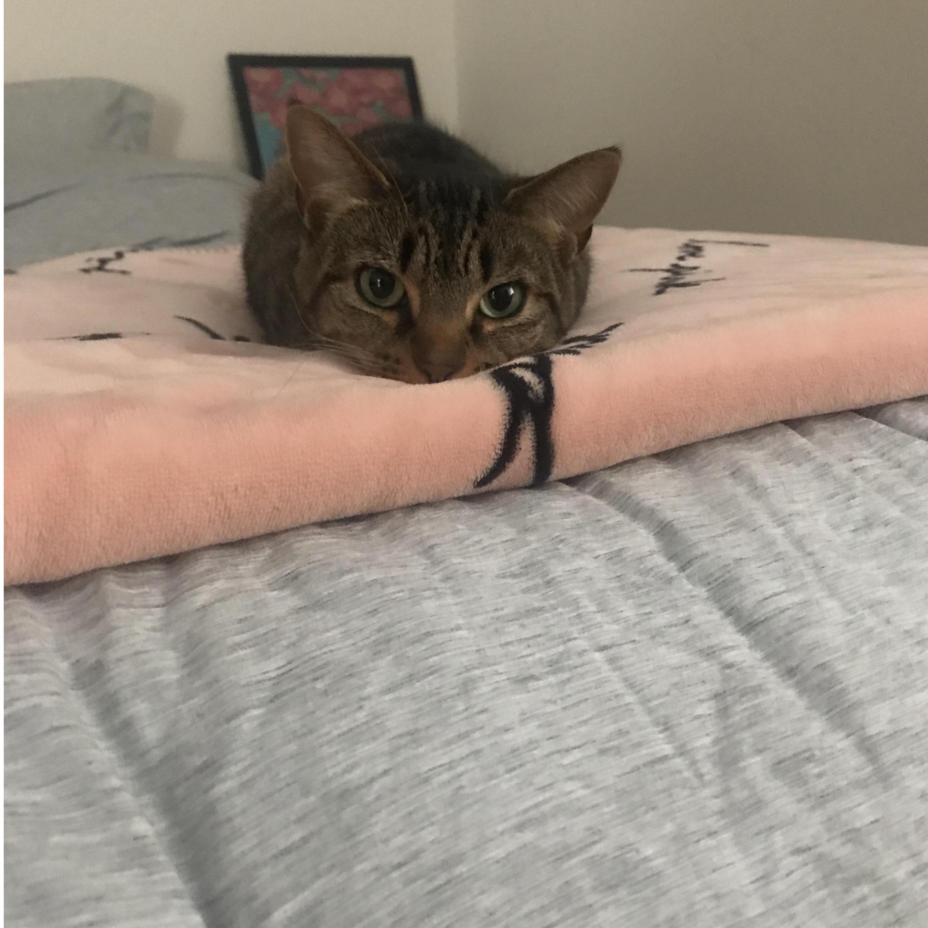 Nala