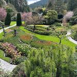The Butchart Gardens