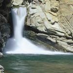 Santa Paula Punch Bowls