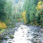 Wildwood Recreation Site