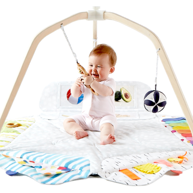 The Play Gym