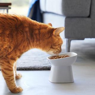 Tower Tilted Pet Food Bowl